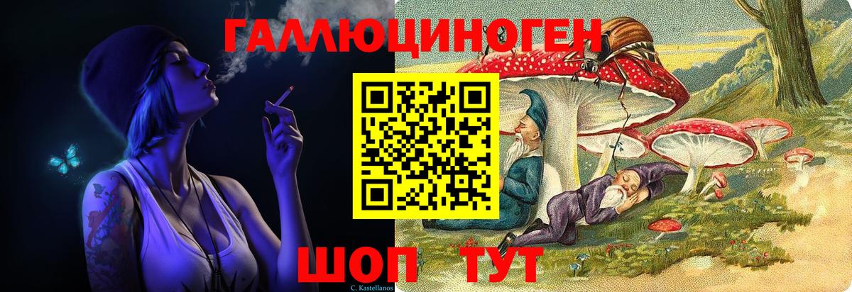 Елизово  Галлюциногенные грибы Psilocybine cubensis  Вход с VPN 